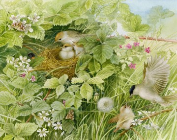 birds nest in May Oil Paintings